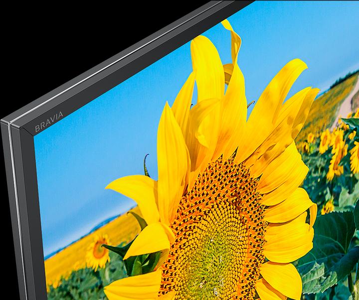 Image du produit Sony Kd-49xf8096 (49", LCD, 4K, 2018)