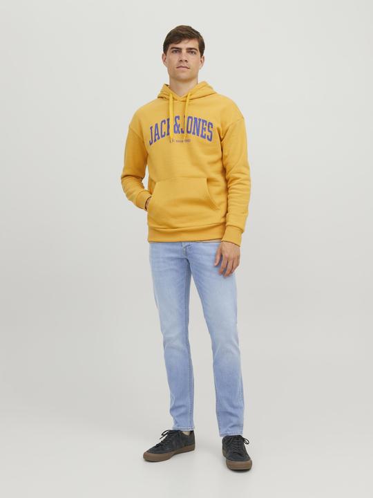 Actual product image Jack & Jones Jjiglenn Jjoriginal Sq 330 Noos (W34/L36)
