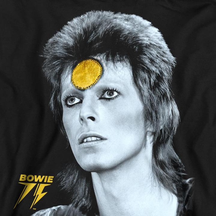 Immagine prodotto David Bowie Golden Bowie Felpa Adulto Unisex (XL)