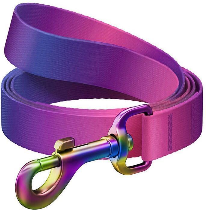 Actual product image Waudog gradient nylon dog leash, 15mm wide, 122cm long, purple (S, Dog, Dog sport)