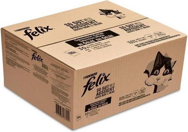 Produktbild Felix Agail (Adult, 120 Stk., 10200 g)