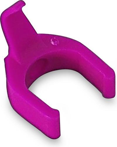 Fuscia