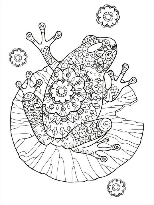 Actual product image My Mandala Animal Colouring Book
