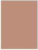Image du produit L'Oréal Paris Infaillible More Than Concealer (330 pacanes)