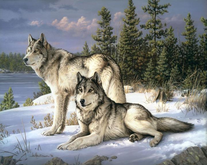 Image du produit Figured'Art Peinture par Numéros - Couple de Loups