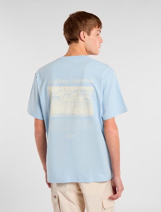 Image du produit Dickies Companion Script Ss Tee Skyway (L)