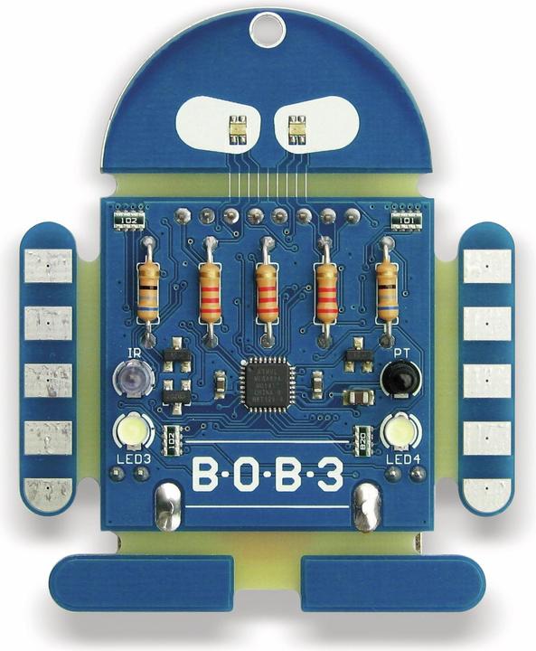 Actual product image Nicai Systems Bob3
