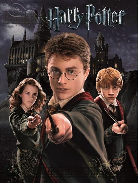 Immagine prodotto Stampato Harry Ron e Hermione (30 x 40 cm)