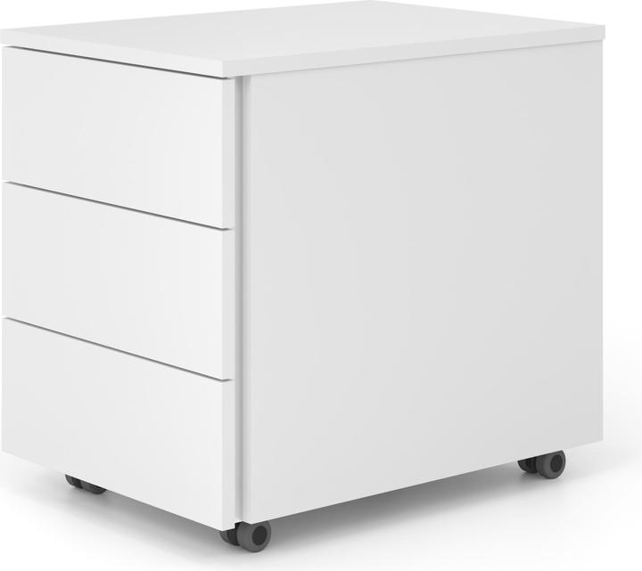 Actual product image Apollo Roll container