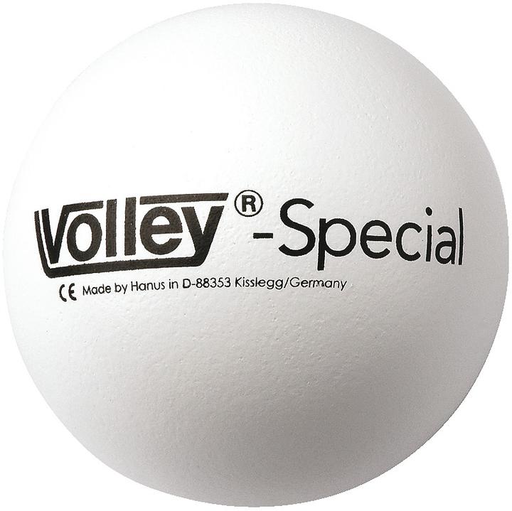 Image du produit Volley Ballon en mousse souple Special