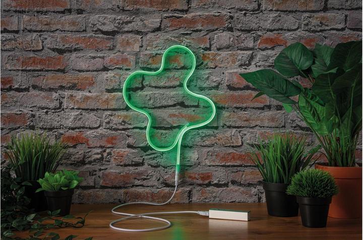 Actual product image Paulmann Colorflex (Green, 100 cm, Indoor)
