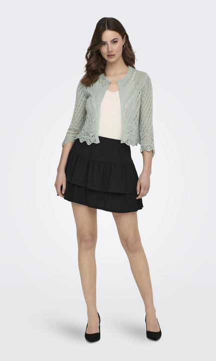 Image du produit JdY Cardigan cropped (L)