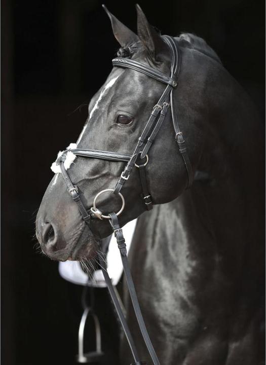 Actual product image Kerbl Snaffle bridle Cancun black, pony