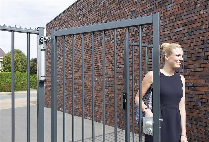 Produktbild Locinox Türschliesser Rhino, für Türen bis zu 150 kg, Aluminium silberfärbig