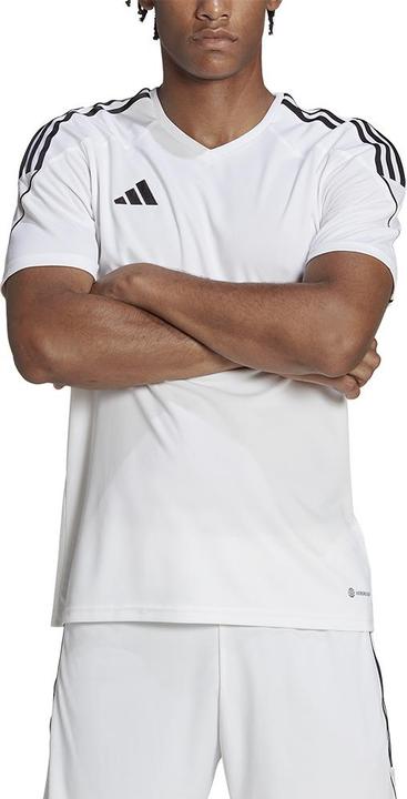 Produktbild adidas Tiro 23 Trikot Herren (XL)