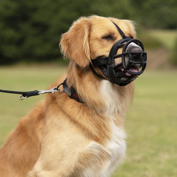 Produktbild Company of Animals Ultra-Maulkorb Baskerville (3, Hund, Allgemein)