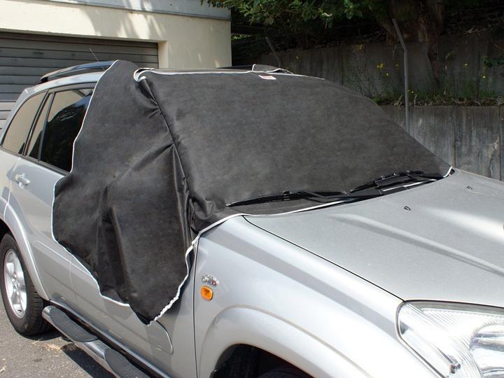 Actual product image APA Windscreen protector