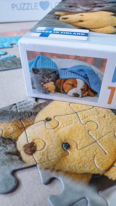 Image du produit Selecta Spielzeug Puzzle Gentil chaton et chien endormi, 100 pièces. (100 pièces)