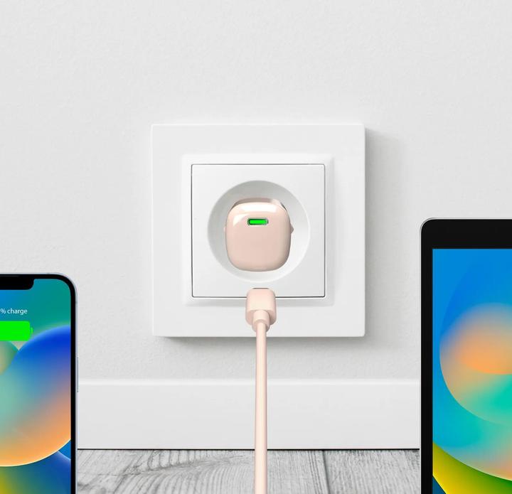 Image du produit Puro Chargeur (20 W)