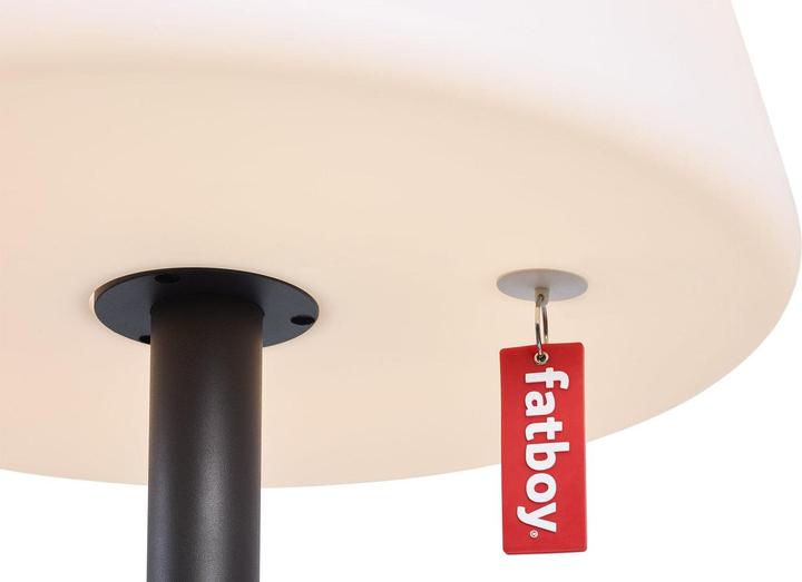 Actual product image Fatboy Edison The Giant