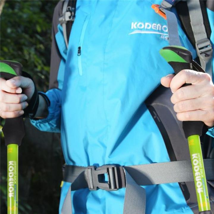 Image du produit Stride Faltbarer Aluminium Trekking Wanderstock Nordic Walking Stock (107 - 125 cm)