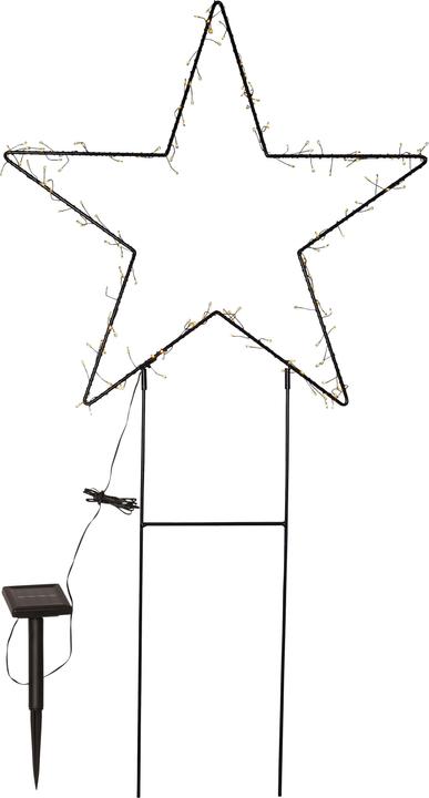 Star Trading Barlumi