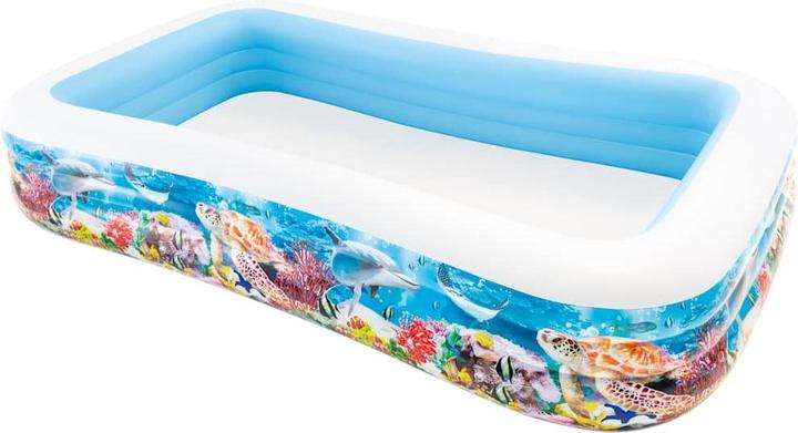Actual product image Intex Silas (305 x 183 x 56 cm)