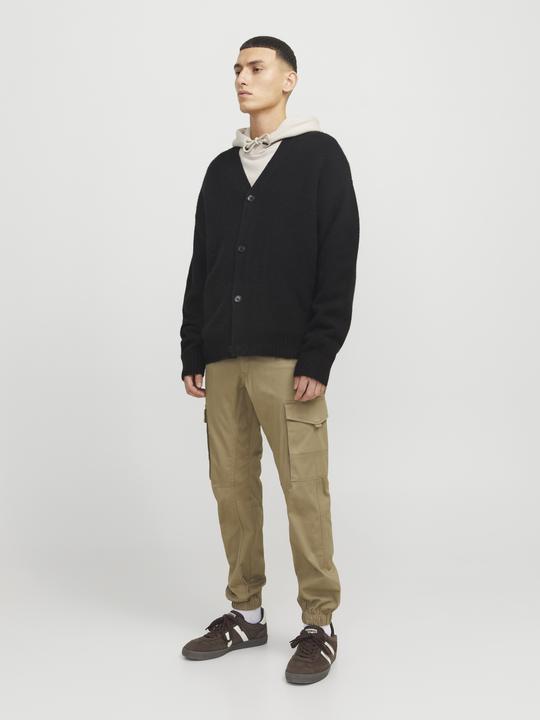 Image du produit Jack & Jones Jpstpaul Jjflake Cargo Noos (W34/L32)