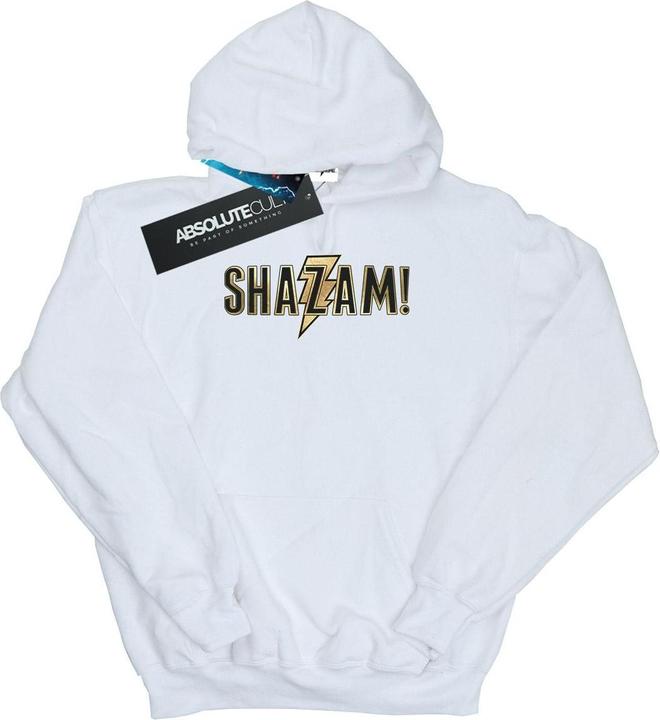Actual product image Mens Shazam Text Logo Hoodie (XL)