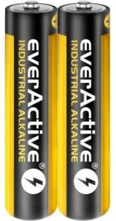 Actual product image Everactive Industrial (40 pcs., AAA, 1100 mAh)