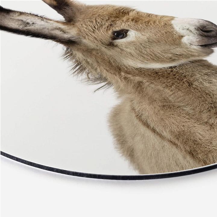 Image du produit Trenddeko Bébé âne (Ø 30 cm)