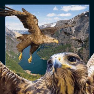Produktbild Worth Keeping 3D-Adler-Magnet