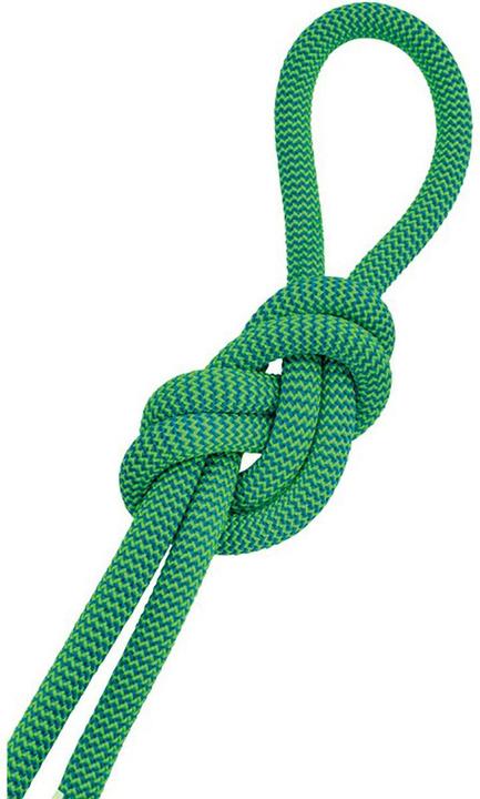 Actual product image Salewa Speed Queen 9.1 climbing rope (80 m)
