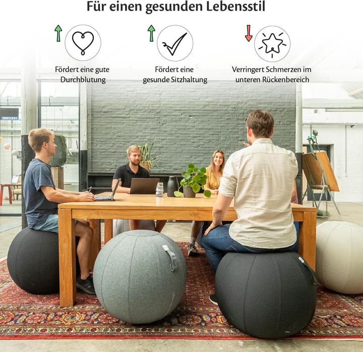 Image du produit Backerz Ergonomischer Sitzball mit waschbarem Leinenbezug (65 cm)