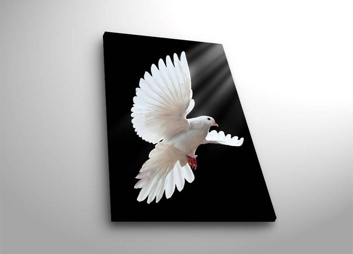 Produktbild Wallxpert Hailey (45 x 70 cm)