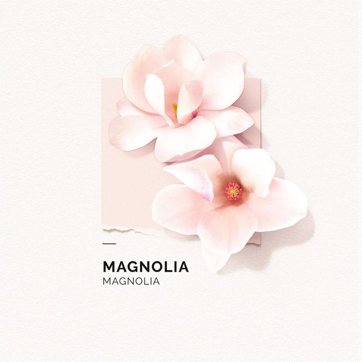 Produktbild Solinotes Magnolia Eau de Parfum (Eau de Parfum, 50 ml)