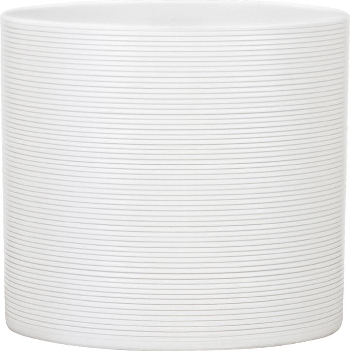 Actual product image Scheurich Panna (12 cm)