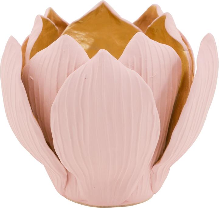 Edg Fleur Rosé