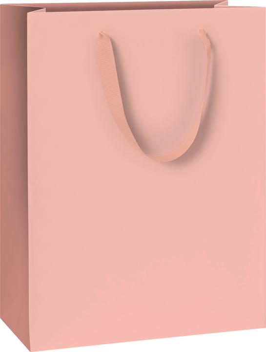Actual product image Stewo Gift bag (Gift bag)