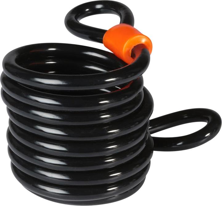 Actual product image Burg Wächter Spiral cable (250 cm)