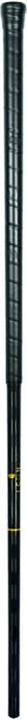 Actual product image Salming Floorball shaft Q-series Carbon Pro Twentyone Icon Edt F27 (103 cm)