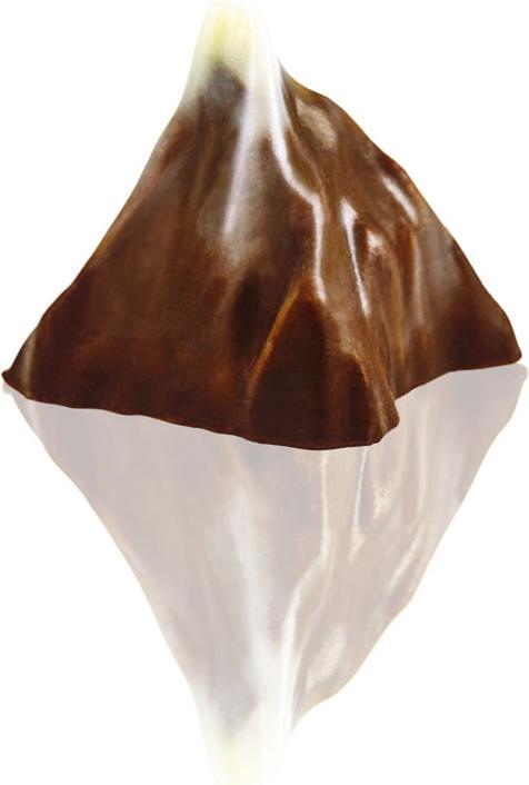 Immagine prodotto miniSchoggi Stampo Pralina Cervino