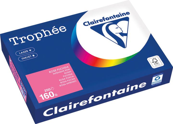 Produktbild Clairefontaine Universalpapier Trophée farbig (160 g/m², 250 x, A4)