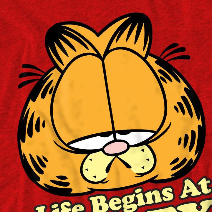 Produktbild Garfield Life Begins At Forty TShirt (M)