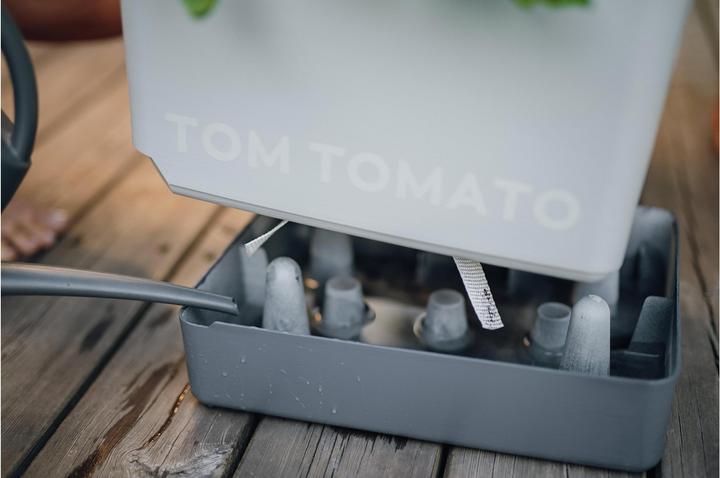 Produktbild Gusta Garden Tom Tomato (35 cm)