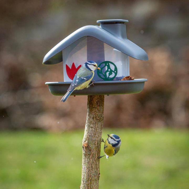Produktbild Plastia Vogelfutterhaus Domek anthrazit Masse: 21x16x15 cm, Kunststoff
