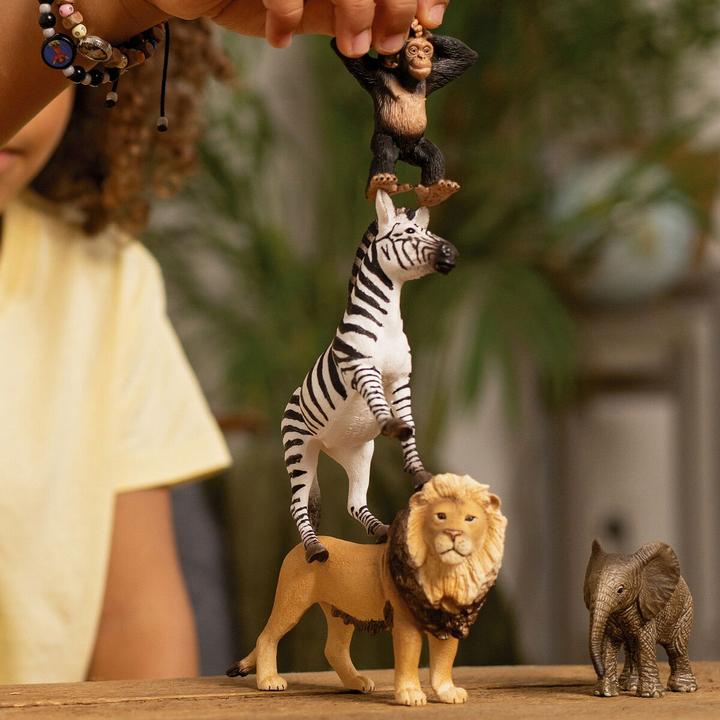Produktbild Schleich Wild Life "Afrika" Starter-Set 42721