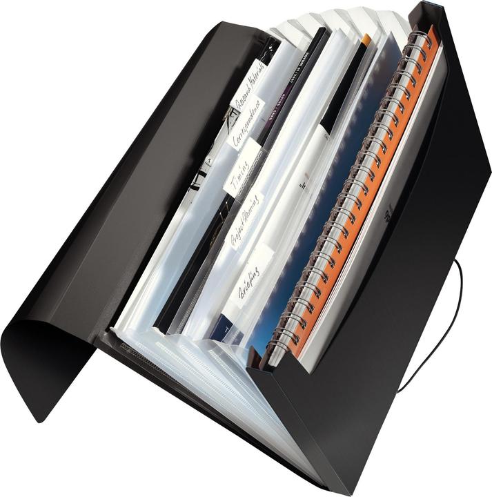 Immagine prodotto Leitz Cartella del progetto (A4, 1 x)