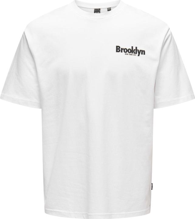 Only & Sons Onskeane Rlx Ss Print Tee Noos (S)