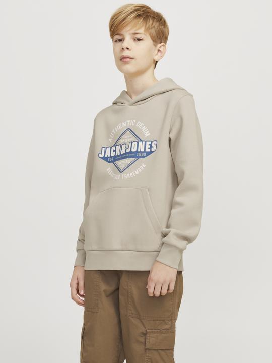 Produktbild Jack & Jones JJELOGO SWEAT HOOD 2 COL 24/25 NOOS JNR (128)
